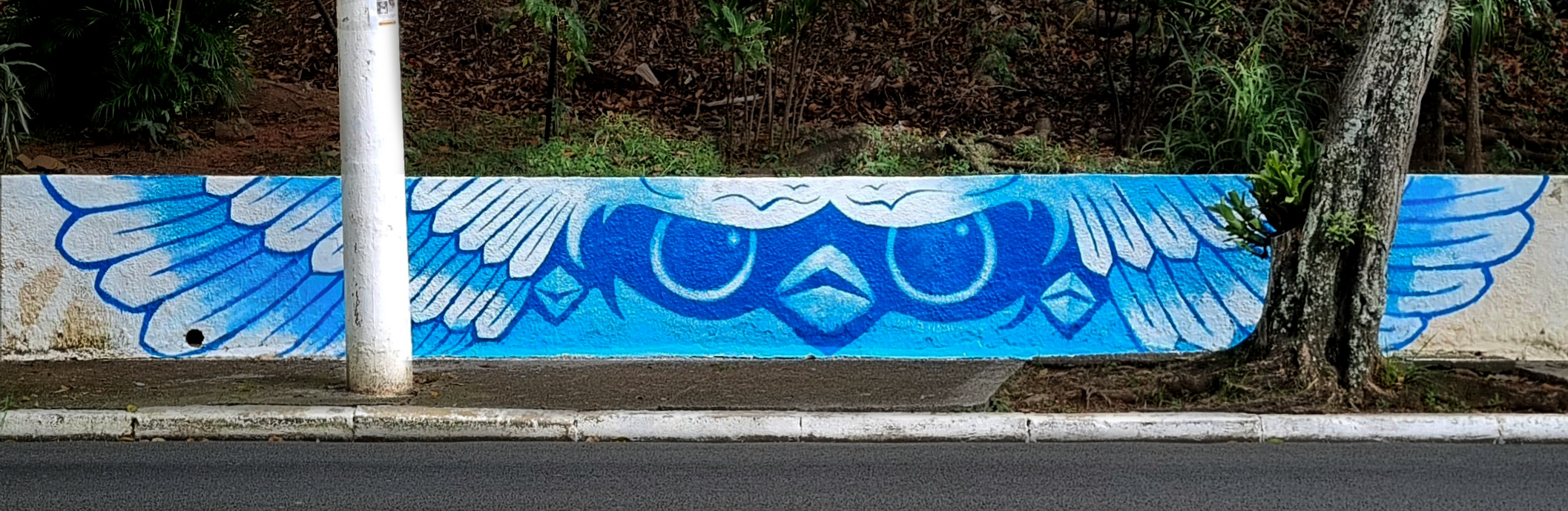 São Paulo_2026